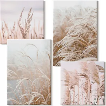 Obraz Vícedílný Obraz Na Plátně Set Pole trav v hnědé a béžové barvě 4 díly