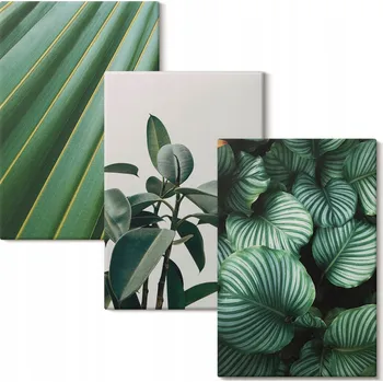 Obraz Vícedílný Obraz Na Plátně Estetické tropické listy 3x 40x60 cm
