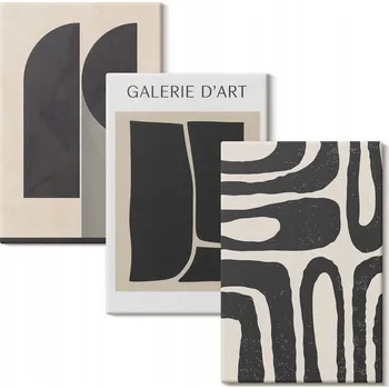 Obraz Sada obrazů na plátně Abstraktní minimalistické plakáty 3x 20x30 cm