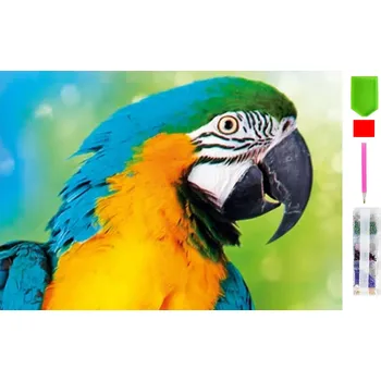 Real Home Diamantové vyšívání - vzor zvíře 5D 144