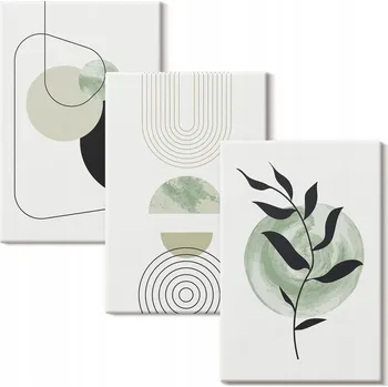 Obraz Sada obrazů do obýváku Abstraktní rostlinné tvary 3x 20x30 cm