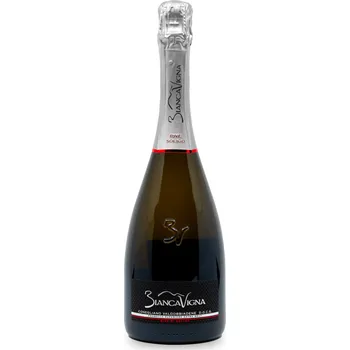 BiancaVigna | Rive di Soligo DOCG | 2021 | 0,75 l