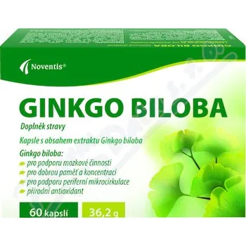 Přípravek na podporu paměti a spánku Ginkgo Biloba 40mg cps.60
