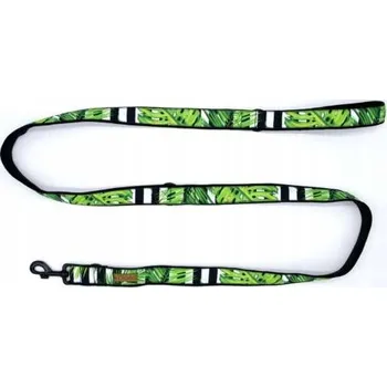 Vodítko pro psa Vodítko Listy Monstera 200 cm
