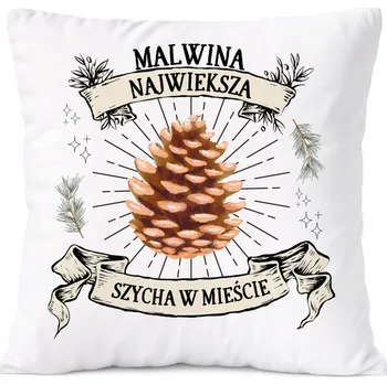 Polštář Polštář pro Davida jako Dárek s potiskem Bílý PoliDraw