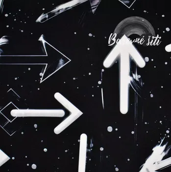 Zimní softshell Bílé šipky na černé (E) (Zimní softshell potištěný)