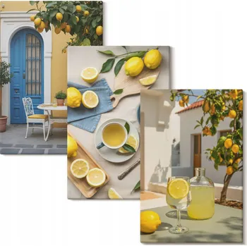 Obraz Sada obrazů na plátně Citrony limonáda modré dveře 3x 40x60 cm