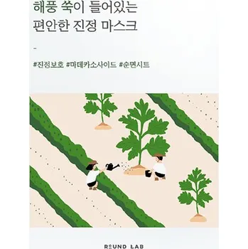 Pleťová maska Round Lab – Mugwort Calming Sheet Mask – Zklidňující textilní maska s pelyňkem – 1 ks