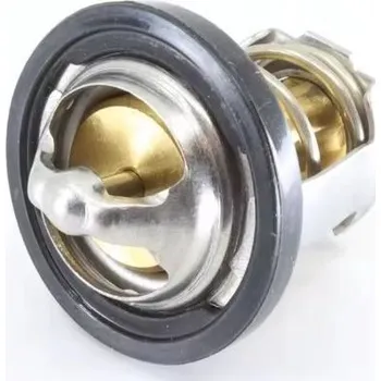 Termostat originál Can-Am Renegade/Outlander