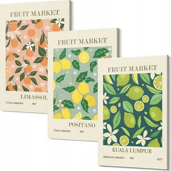 Obraz Obrazy na plátně Triptych do obývacího pokoje Ovocné vzory citrusové květy 30x20 cm