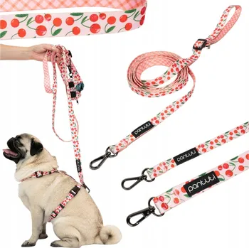 Vodítko pro psa Petinio odnímatelné Vodítko , páska, 3m