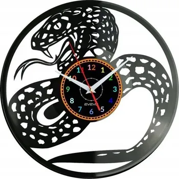 Hodiny Nástěnné hodiny had – vinylová deska, moderní dekorace, dárek k narozeninám