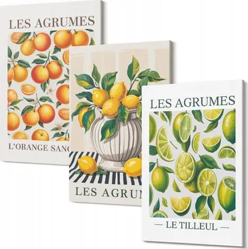 Obraz Triptych na plátně do předsíně Citrusy v barevných provedeních 30x20 cm