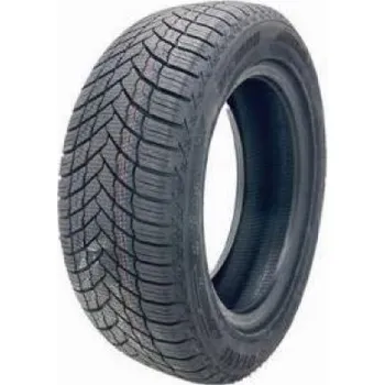 Zimní osobní pneu Otani WE1000 205/65 R15 94H