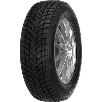 Zimní osobní pneu Mastersteel WINTER + W1 195/45R16 84 H