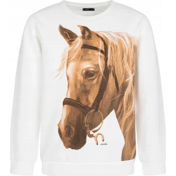 Dívčí mikina Dětská mikina Endo bavlna velikost 146