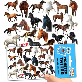 Odstranitelné tetování Filmová a herní nálepka na tetování Dětské vodní tetování Omyvatelné k narozeninám Dárek Dočasný dárek pro děti Originální opakovaně použitelné Spousta Vzorů