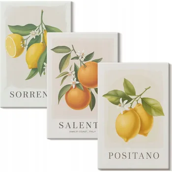 Obraz Vícedílný Obraz Na Plátně Sada Citrony pomeranče Amalfi 3x 20x30 cm
