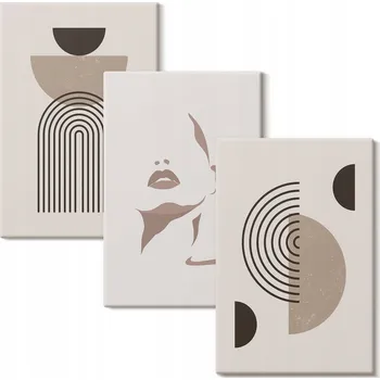 Obraz Vícedílný Obraz Na Plátně Abstraktní tvary a tvář 3x 40x60 cm