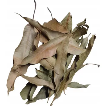 Obraz BioThai Mango Listy Manga 20g