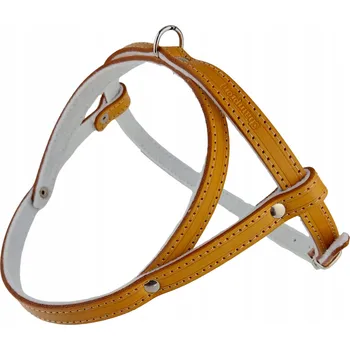 Postroj pro psa Kožené postroje pro psa s filcovým polstrováním, lícová kůže, 40 cm Champion Orange (Oranžové)