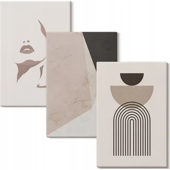Obraz Sada obrazů na plátně Abstrakce - tváře, 3x 20x30 cm