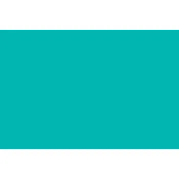 Oracal 751C - 054 Turquoise