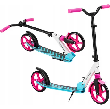 Obraz Velká skládací městská koloběžka Sesttino Shadow