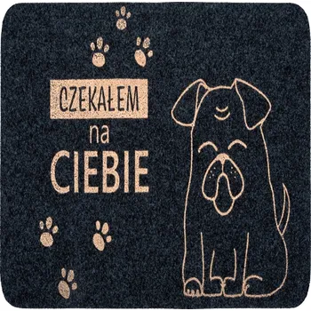 Rohožka Gumová rohožka do interiéru, hotová, 50 x 80 cm