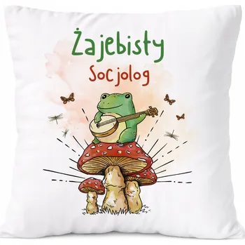 Polštář Polštář pro obkladače jako Dárek s potiskem , bílý PoliDraw