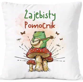 Polštář Dárek Polštář s potiskem , bílý PoliDraw