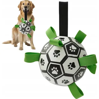 Hračka pro psa Hračka pro psy Míček s pumpičkou pro velké a střední rasy, průměr 19 cm