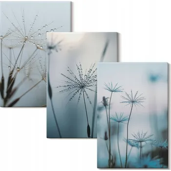 Obraz Sada nástěnných dekorací Galerie Dmychadla s kapkami vody 3x 20x30 cm