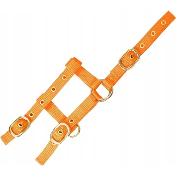 Bezpečnostní kamera EKKIA Mini Uzda / Pony Halter