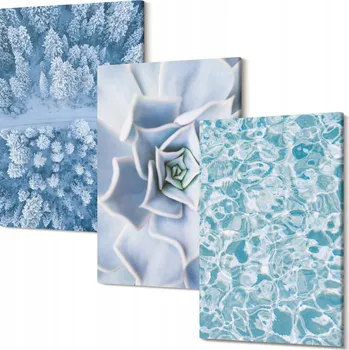 Obraz Triptych na zeď Zimní les modrý květ voda 30x20 cm