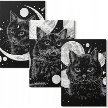 Obraz Vícedílný Obraz Na Plátně Set Černé kočky měsíc vesmír 3x 40x60 cm