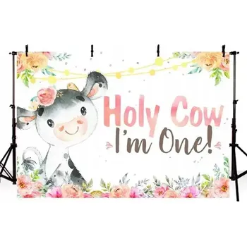 Fotopozadí FOTO POZADÍ / BANNER NA NAROZENINY 210x150cm