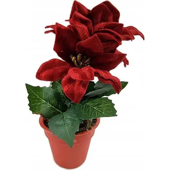 Vánoční dekorace Vánoční Hvězda v květináči červená jako živá