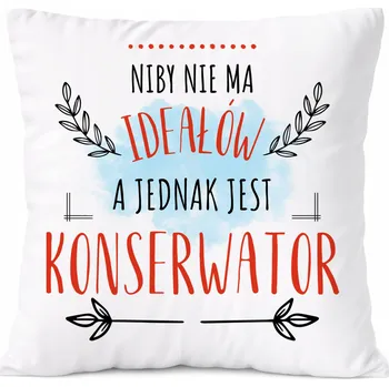 Polštář Dárek Polštář Classifier s potiskem bílý