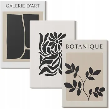Obraz Vícedílný Obraz Na Plátně Sada Abstraktní rostlinné vzory 3x 40x60 cm