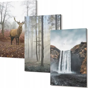 Obraz Kolekce obrazů na plátně k zavěšení Lesní krajiny divoká příroda 30x20 cm