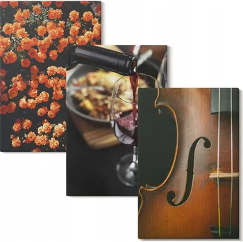 Obraz Sada obrazů na plátně k zavěšení - Vintage květiny, víno, housle - 3x 40x60 cm