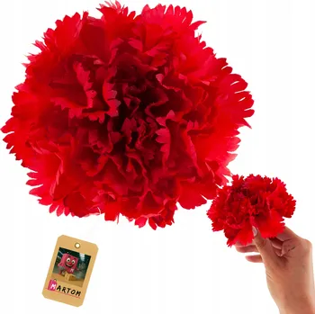 umělá květina KVĚTINOVÁ HLAVIČKA KARAFIÁT PRO TVORBU UMĚLÉ KVĚTINY JAKO ŽIVÉ NA ARANŽOVÁNÍ ČERVENÉ