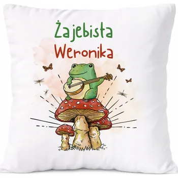 Polštář Polštář pro Franka jako Dárek s potiskem bílý PoliDraw