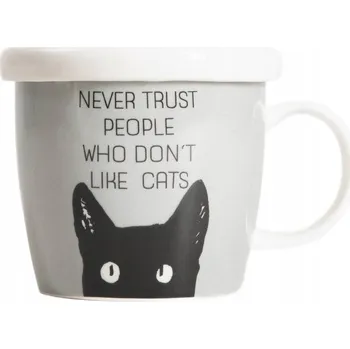 Hrnek Homla BASIC porcelán 300 ml