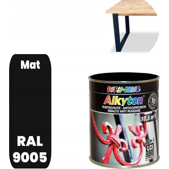 barva na kov RAL 9005 MAT Alkyton Antikorozní Barva na Kov Štětcem Plechovka 250ml Přímo na Rez