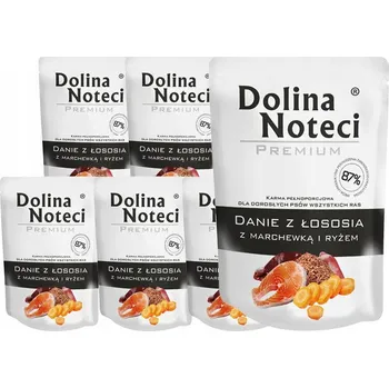 Krmivo pro psa Dolina Noteci Premium Vlhké krmivo pro psy Jídlo s Lososem 10 x 300 g