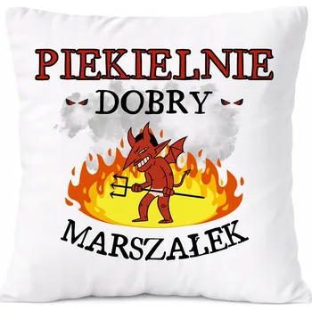 Polštář Dárek Polštář Economist s potiskem , bílý PoliDraw