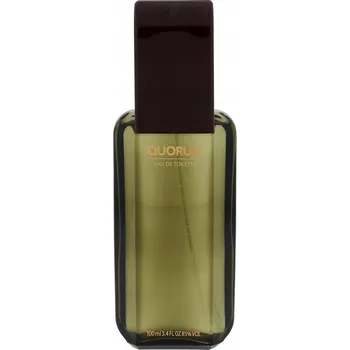 Pánský parfém Toaletní voda Antonio Puig 100 ml