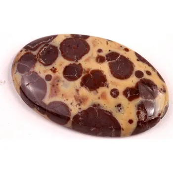 Přírodní kámen Kabošon Asteroid Jaspis č.6275 (36x23x5mm)
